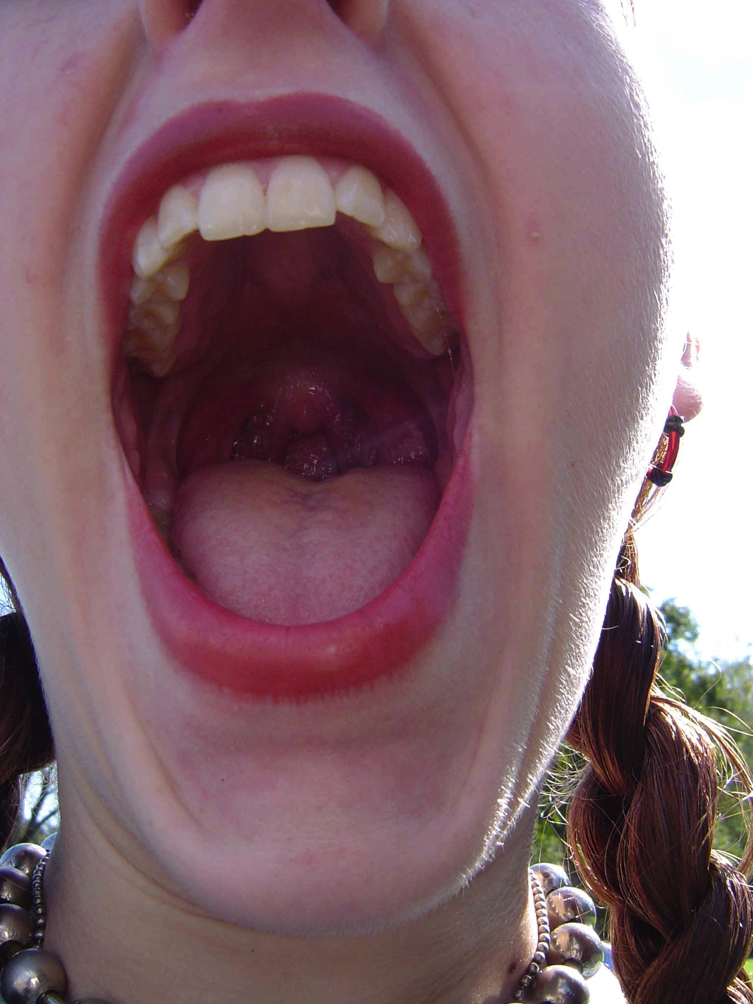 Scream Mouth 21